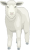 Sheep Front View Clip Art
